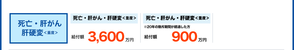 死亡・肝がん 肝硬変＜重度＞ 死亡・肝がん・肝硬変＜重度＞ 給付額3,600万円　死亡・肝がん・肝硬変＜重度＞ ※死亡後または発症後訴訟までに20年経過 給付額900万円