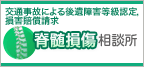 交通事故による「脊髄損傷」相談所