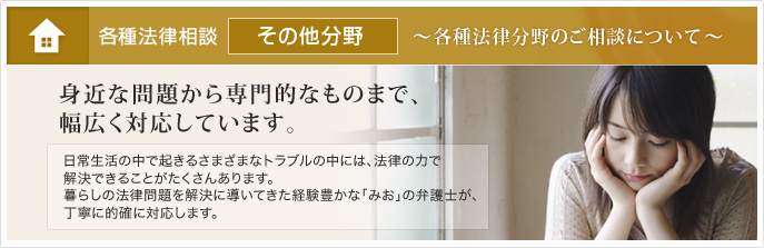 各種法律相談 その他の法律問題 暮らしの中でのトラブル、お困りごとをいち早く解決。些細なことでも一人で悩まず、お気軽にご相談ください。