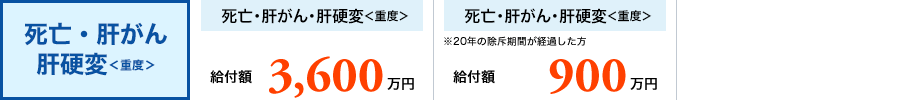 死亡・肝がん肝硬変<重度>