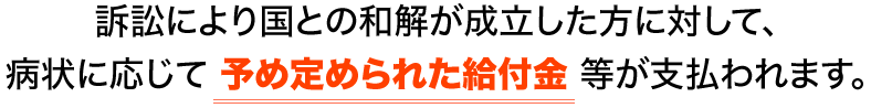 訴訟により国との和解が成立した方に対して、病状に応じて 予め定められた給付金 等が支払われます。